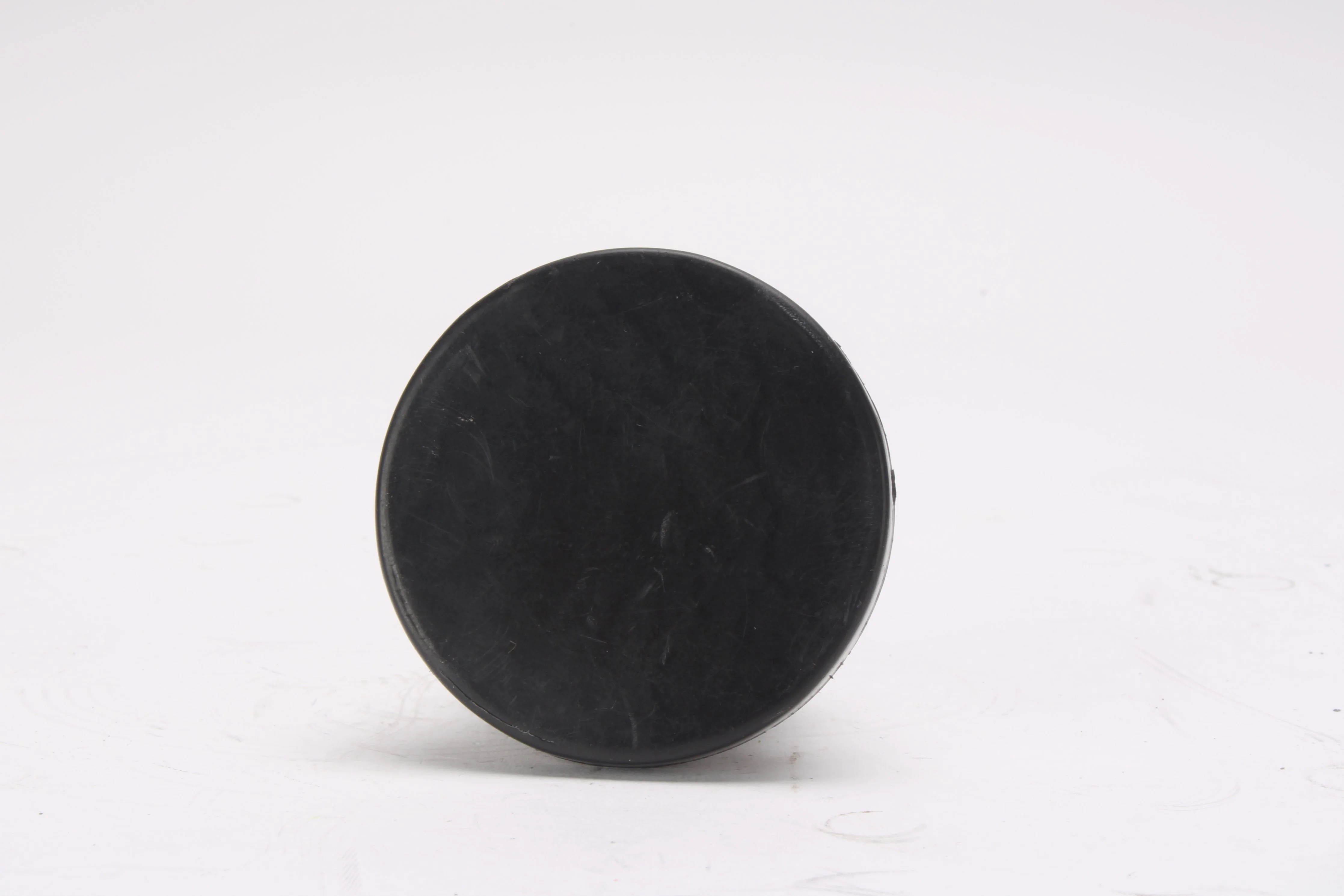 Nikon 0.45x Semi Fisheye Professional Lens for Sony - Image 2